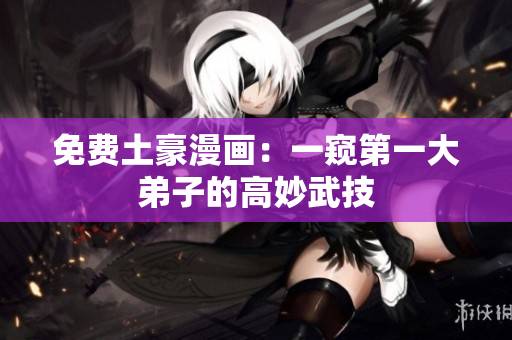 免费土豪漫画：一窥第一大弟子的高妙武技