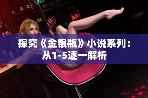 探究《金银瓶》小说系列：从1-5逐一解析