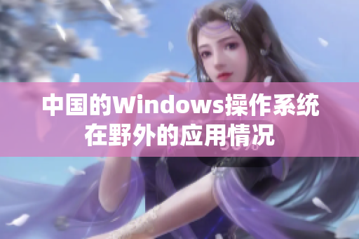 中国的Windows操作系统在野外的应用情况
