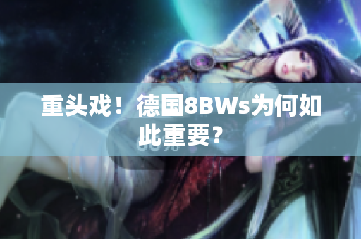 重头戏！德国8BWs为何如此重要？