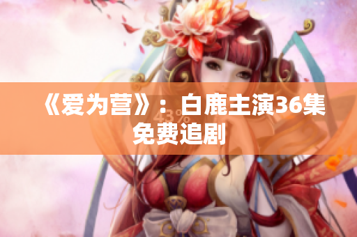 《爱为营》：白鹿主演36集免费追剧