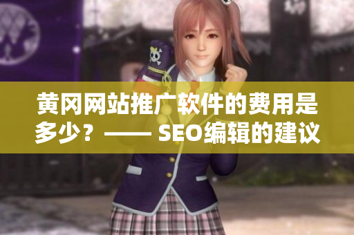 黄冈网站推广软件的费用是多少？—— SEO编辑的建议