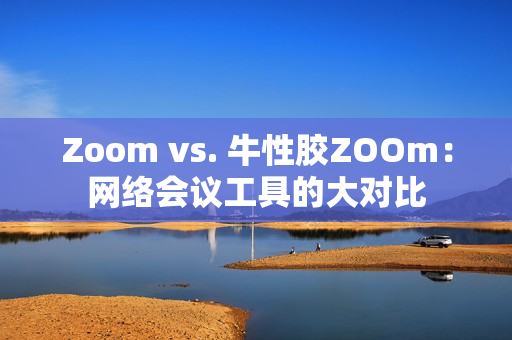 Zoom vs. 牛性胶ZOOm：网络会议工具的大对比