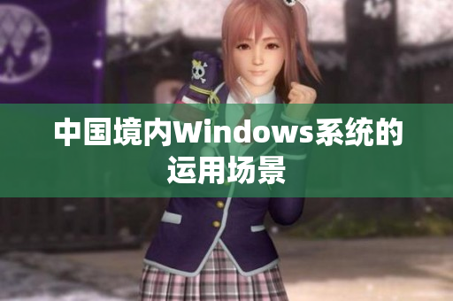 中国境内Windows系统的运用场景