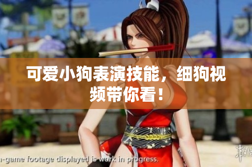 可爱小狗表演技能，细狗视频带你看！