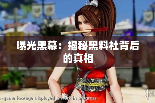 曝光黑幕：揭秘黑料社背后的真相