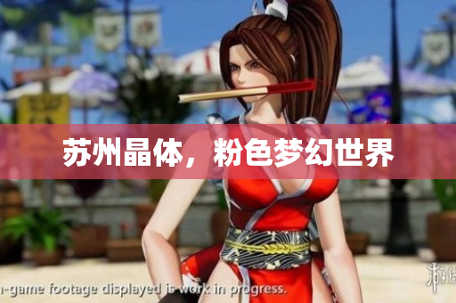 苏州晶体，粉色梦幻世界
