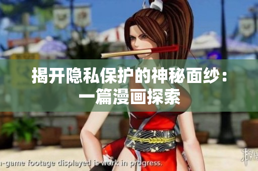 揭开隐私保护的神秘面纱：一篇漫画探索
