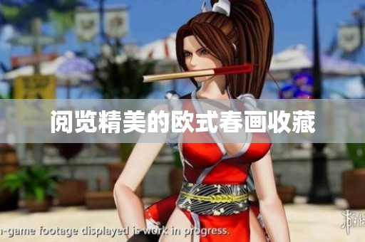 阅览精美的欧式春画收藏