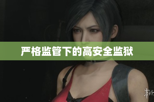 严格监管下的高安全监狱