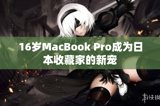 16岁MacBook Pro成为日本收藏家的新宠