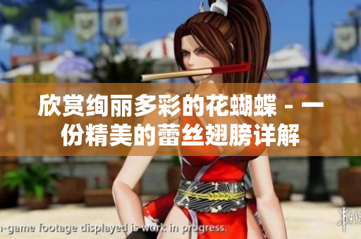 欣赏绚丽多彩的花蝴蝶 - 一份精美的蕾丝翅膀详解