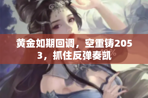 黄金如期回调，空重铸2053，抓住反弹奏凯