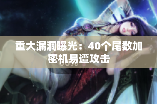 重大漏洞曝光：40个尾数加密机易遭攻击