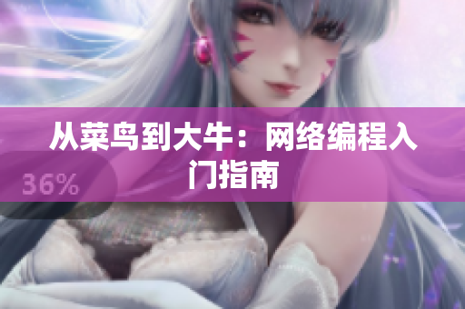 从菜鸟到大牛：网络编程入门指南