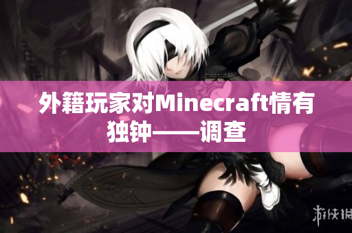 外籍玩家对Minecraft情有独钟——调查