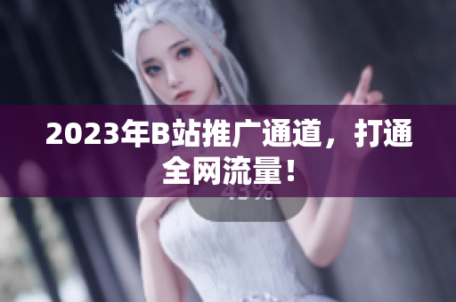 2023年B站推广通道，打通全网流量！