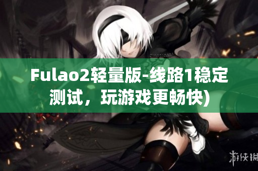 Fulao2轻量版-线路1稳定测试，玩游戏更畅快)