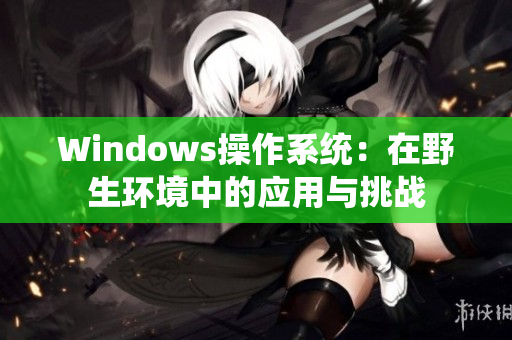 Windows操作系统：在野生环境中的应用与挑战