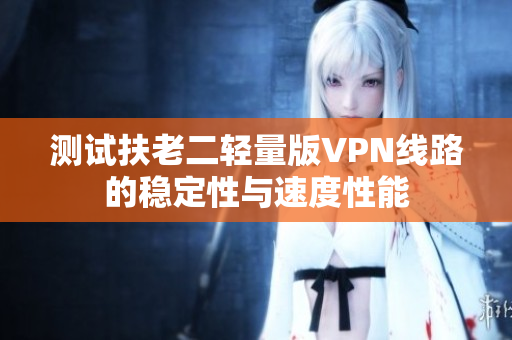 测试扶老二轻量版VPN线路的稳定性与速度性能