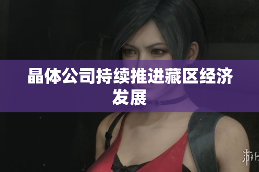 晶体公司持续推进藏区经济发展